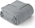 Topblan Weighted Blanket Queen Size 15Lbs, Soft Cooling Weighted Blanket