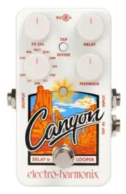 Electro-Harmonix Canyon Delay & Looper pedal