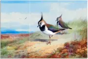 Tile Mural Two Lapwings in a Moorland Kitchen Shower Backsplash Marble Ceramic