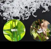19 x Garden Plant Plastic Support Clips. Veggie Trellis Tomato Clips