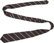[PACKOVE] Striped Necktie for School Uniforms Comfortable Pre Tied Tie for Boys and Elegant Design with Durable Polyester for Festive Occasions