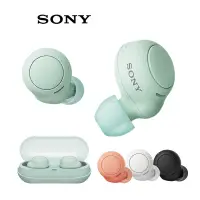 在飛比找蝦皮商城優惠-SONY WF-C500 真無線耳機 4色 現貨 廠商直送 