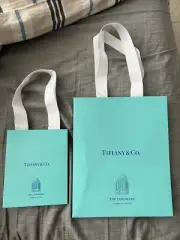 Tiffany & Co NYC Landmark Flagship Exclusive Packaging - Shopping Bags - NEW!