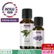 【NOW 娜奧】Now Foods 純鼠尾草精油 30ml ~7610~有效期05/2026~送純薰衣草精油 10mL