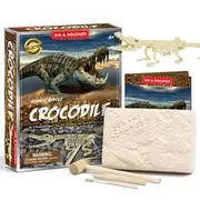 Crocodile Dig Kits