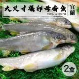 在飛比找遠傳friDay購物優惠-【築地一番鮮】宜蘭大尺寸爆卵香魚24尾(12尾/盒,共2盒)