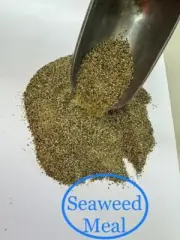 Seaweed Meal Pure Australian Kelp Granules - Garden & Animals - 3 kg