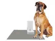 Pet, Dog Water Dispenser, Capacity 1 Gallon/3.8L, Pet Automatic Gravity Feeder