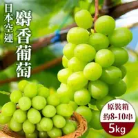 在飛比找PChome24h購物優惠-【WANG 蔬果】日本長野縣溫室麝香葡萄(原裝5kg/約8~