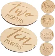 CRILSTYLEO 6 Pcs Month Card Monthly Milestone Discs for Photo Prop Monthly Milestone Marker Double Sided Monthly Milestone Discs Monthly Milestone Sign for Photo Prop