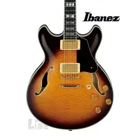 在飛比找蝦皮購物優惠-『JSM 簽名款』Ibanez JSM100 爵士吉他 Ho