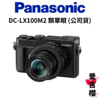 在飛比找蝦皮商城優惠-送原電+64G【Panasonic】LUMIX DC - L