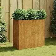 Raised Garden Bed, Elevated Planter Box Plant Container 80x40x80 cm Corten Steel