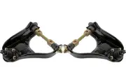 Front PAIR Control Arm & Ball Joint for 2001-2003 Isuzu Rodeo Sport (KIT2852) (for: Isuzu)