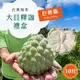 【初品果】台東知本巨無霸大目釋迦禮盒10斤10-12顆x1箱_促