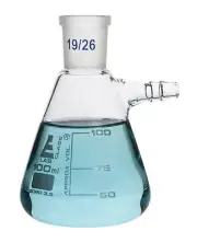 Eisco Labs 100ml Buchner Filtering Flask with 19/26 Socket Size
