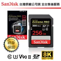 在飛比找蝦皮購物優惠-【台灣保固】Sandisk Extreme Pro 256G