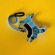 Supet Reflective Non-pull Padded Chest Dog Harness With Lead. XL Turquoise New