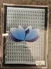 Xl 0.07D Volume Pre-made Pointy Eyelash Extensions. 10D-13mm 16 rows of 20 prema