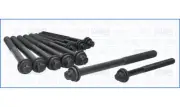 Cylinder Head Bolt Set FIAT DUCATO JTD 16V 2.3 120 F1AE0481D (2006-)