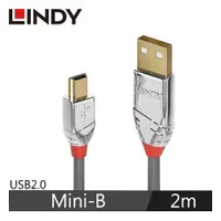 在飛比找有閑購物優惠-LINDY林帝 CROMO USB2.0 TYPE-A公 T