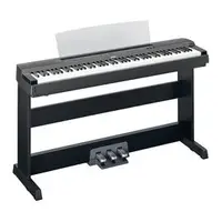 在飛比找蝦皮購物優惠-亞洲樂器 YAMAHA P-255 P255 數位電鋼琴、日