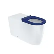 800*365*465mm Fienza Isabella Care Gloss White Rimless Grey/White/Black/Blue Seat Wall Faced Toilet