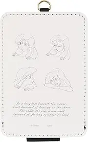 Gourmandise Disney Character/IC Card Case DNG-
