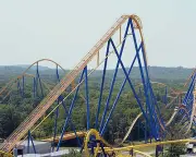 Nitro, Roller Coaster, Six Flags Great Adventure 8x10 High Quality Photo Picture