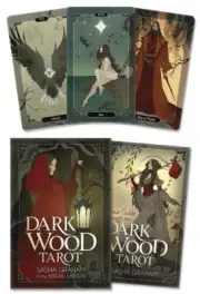DARK WOOD TAROT KIT Deck Card Book Set wicca fairy tale fortune oracle cards