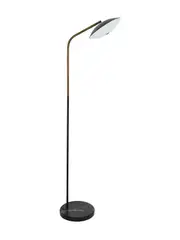 Blythe 1 Light Floor Lamp in Black with Bronze Details