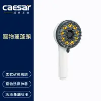 在飛比找momo購物網優惠-【CAESAR 凱撒衛浴】寵物蓮蓬頭(貓犬適用)