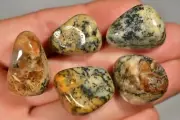 5 DENDRITIC AGATE Tumbled Stones 2-3cm 38g Chalcedony Tree Healing Crystal
