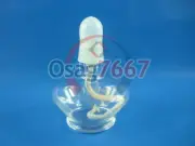 LabEquipmentHeating-150mlLampGlassAlcoholBurner