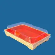 50× Premium Sushi Box Sashimi Tray Appetiser Dim Sum Takeaway Box + Clear Lids