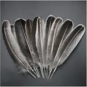 Turkey Feathers 12Pcs Natural Turkey Feathers Clothing, Hats Holiday Decoration