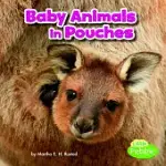 BABY ANIMALS IN POUCHES