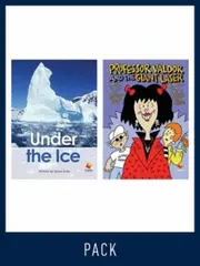 Flying Start Guided Reading Level 30, Pack 2