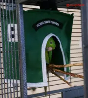 Avian Haven Hut for Pet Birds