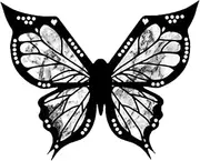 Hogvinnatil Makeup Stencil, Eye Liner Stencils | Professional Eye Liner Stamp,Precision Reusable Rapid Waterproof Template for Professionals for Professional