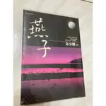 文學書籍 燕子 地底三萬呎 (朱少麟) (2本一起賣/5折優惠)