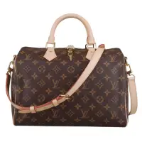 在飛比找momo購物網優惠-【Louis Vuitton 路易威登】LV M41112 