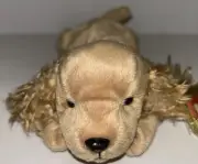 Ty Beanie Spunky Cocker Spaniel Dog MWMT Stored In Acrylic Box
