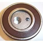 PumpTec 0100-6005-0135, KIT-C 204/205/207/217 .135 CAM Bearing