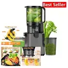 Effortless Whole Fruit Juicing: 350W Masticating Juicer with Titan Gray Finish