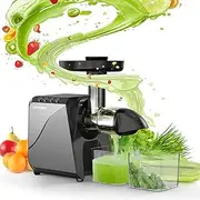 Cold Press Juicer for Celery Carrot - Soft/Hard Fruits Vegetables, 250W Slow Juicer Machines Stainless Steel Brushed Process,Reverse Function, Easy to Clean, with Big Cup,Pulp Container,Cleaning Brush