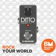 TC Electronic Ditto Looper Effects Pedal - Brand New - Belfield Music