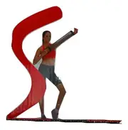 Gym Training Workout Chest Expander Upper Body Strength and Power Pilates...
