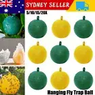 Hanging Fly Trap Ball Fruit Fly Catcher Sticky Trap Insect Bees Fly Killer Gnat