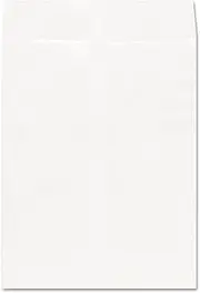 Universal Tyvek Envelope, 10"x13", White, Case Pack of 100 (19007)